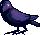 Full-sized version of “Crow”